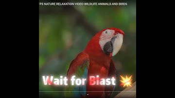 PC Exploded in 4K 😱💥 | Insane Blast #Shorts