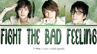 T-Max Fight the bad feeling ( color coded lyrics T-Max Fight the bad feeling ( color coded lyrics