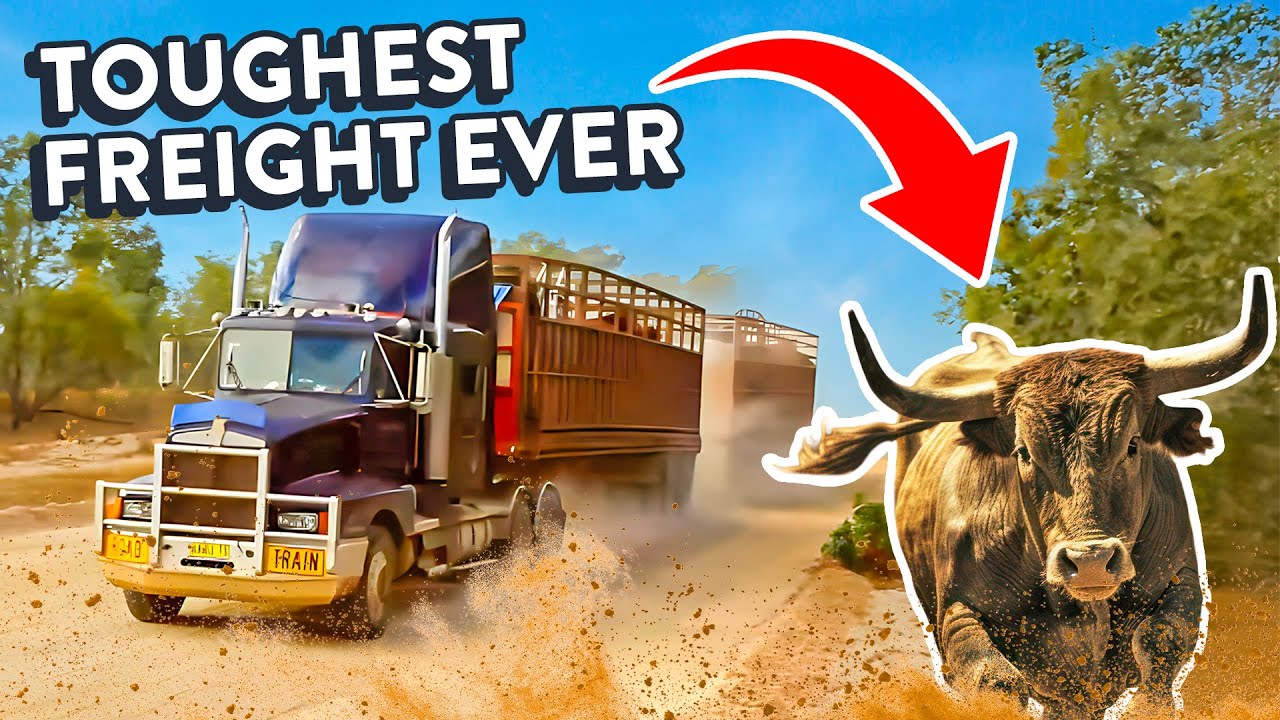On the Road with an Australian Livestock Trucker | From Farm to Rodeo ...