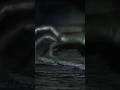 ¿Qué demonios fue esa mano? 😱🛸 #horror #shorts