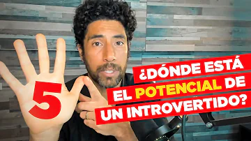 ¿Qué trabajo es mejor para los introvertidos?