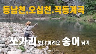 어려운 낚시#송어#산천어#그리고 #대물 구렁이#쏘가리낚시