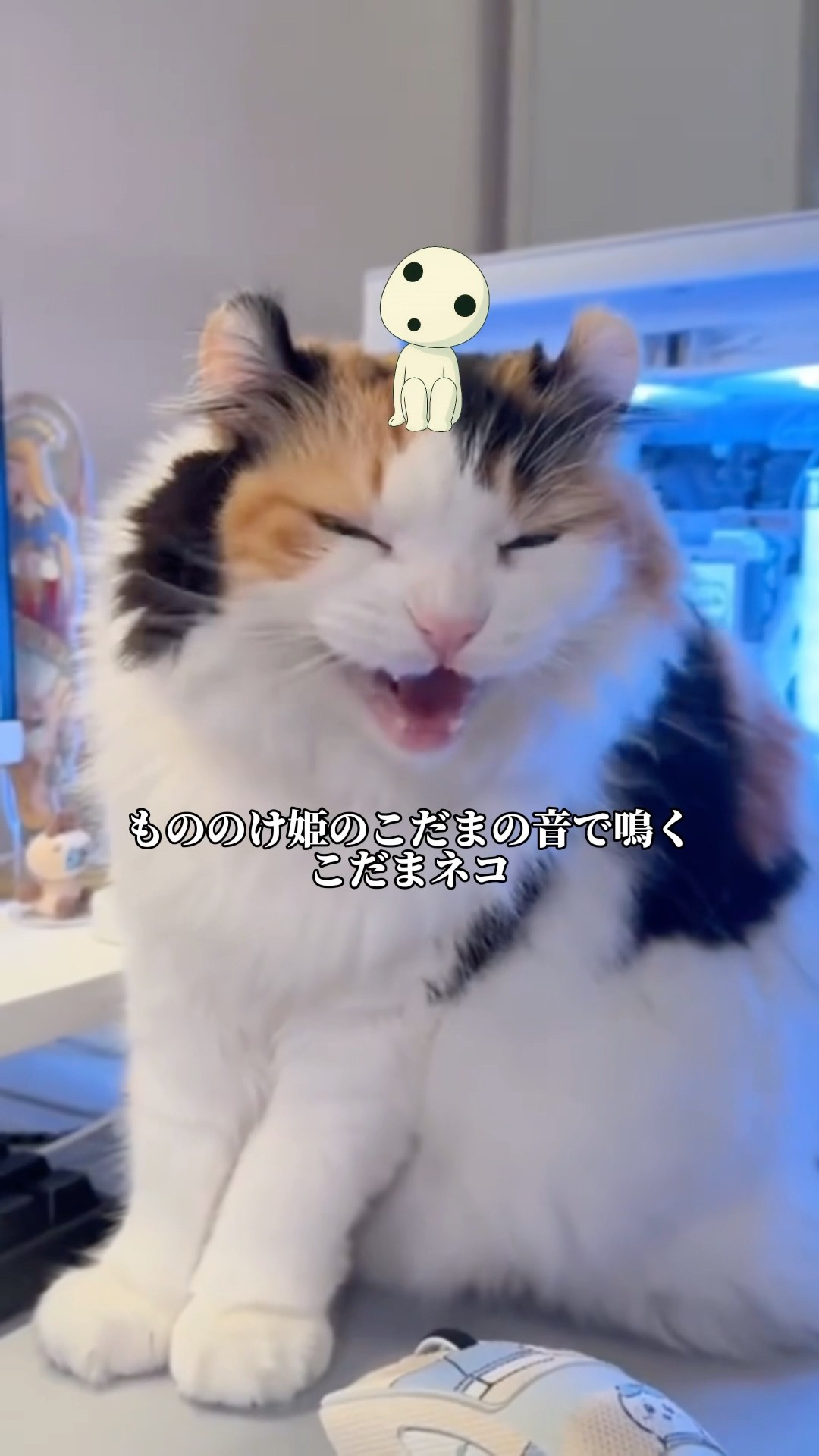 ネコちゃん様 モノト🍎珈琲炭酸推し on X: 