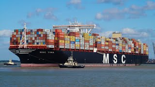 MSC TINA - 2017 built containership arriving at port of felixstowe from Colombo,Sri lanka 16/6/17