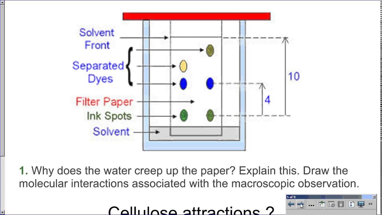 Intro to Sticky Molecules Lab - YouTube