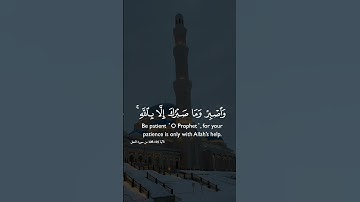 الآية 125-128 من سورة النحل #القرآن_الكريم #قران_كريم #قرآن #قران #قرآن_كريم #اكسبلور #explore