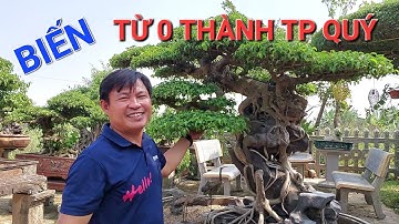 ANH DŨNG coca người TẠO RA NHỮNG KIỆT TÁC NGHỆ THUẬT * từng lời anh CS không những hay mà ý nghĩa .