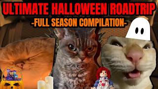 CAT MEMES: THE ULTIMATE HALLOWEEN ROADTRIP COMPILATION