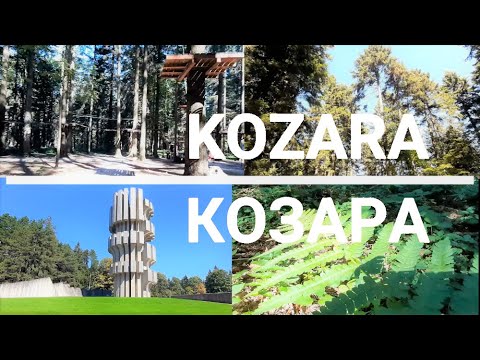 Video: Potovanje Skozi Nacionalni Spomenik Woods & Waters Katahdin V Maineu