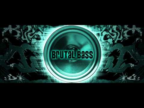 Flo Rida - Wild Ones ft. Sia [Bass Boosted]