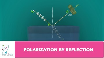 Polarization by Reflection
