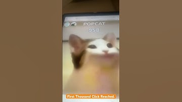 Popcat Clicking to 1 Billion - Hitting 1K Clicks