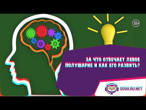 За что отвечает