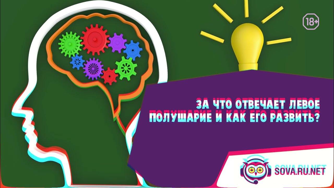 Как развивать ребенку левое полушарие. Как развивать ребенку левое полушарие