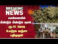சென்னையில் மீண்டும் மீண்டும் ஷாக் ரூ.10 கோடிஉயர்ரக கஞ்சா பறிமுதல்! | Chennai | Airport | Sun News