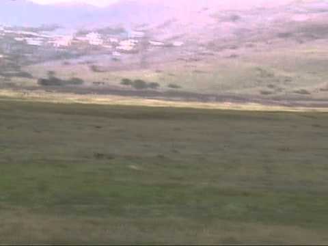 შავარდენი დაჭერა