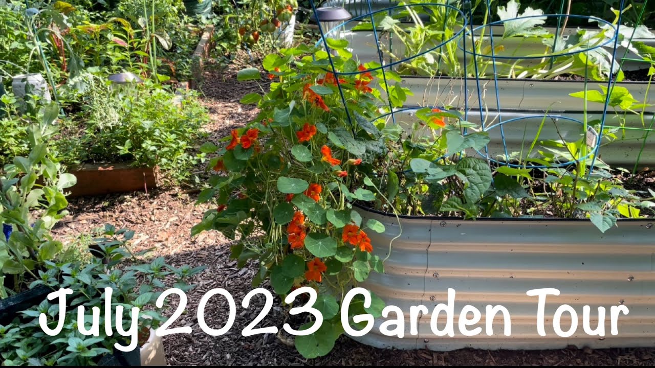 July 2023 Suburban Garden Tour 