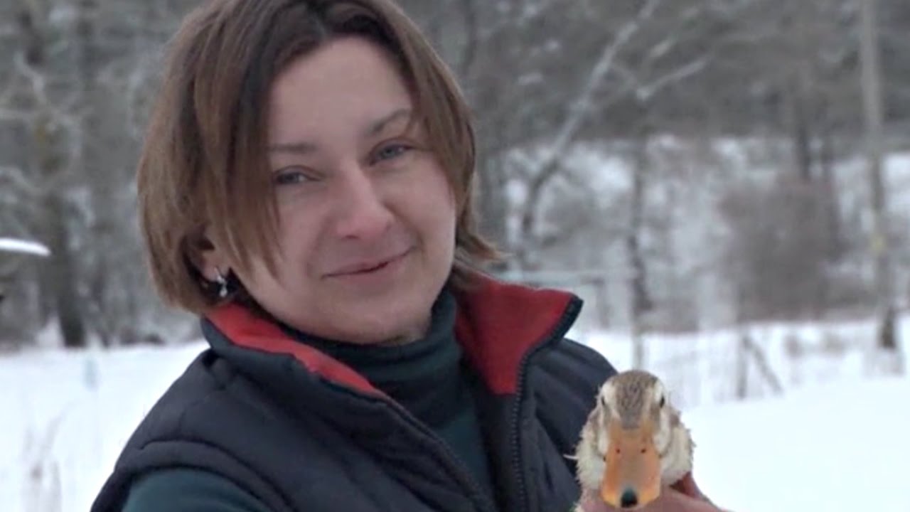 Як беларусы вяртаюцца ў вёскі, каб не памерці з голаду | Кризис возвращает белорусов в деревни