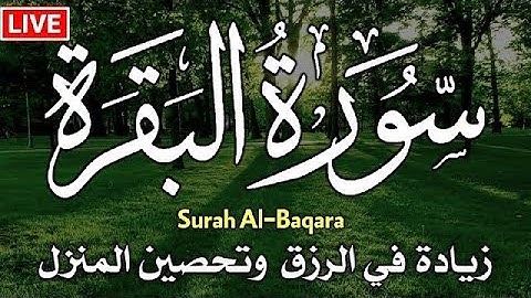 سورة البقرة كاملة 🌹 لزيادة الرزق ولحفظ وتحصين المنزل بصوت جميل وهادئ 💚SURAH ALBAQARA 🌹