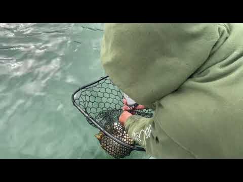 How to weigh a fish in the Net! Catch and Release 