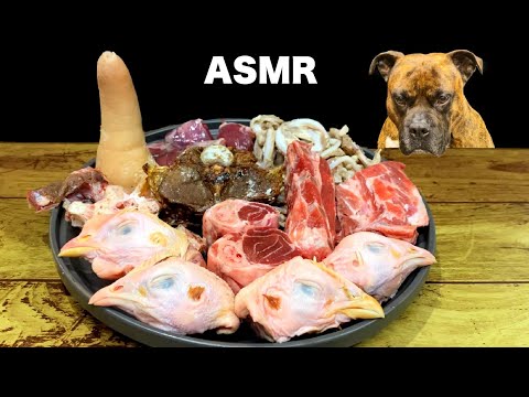 【大食い犬ASMR】骨付き肉をバキバキ噛み砕く音が衝撃的すぎる愛犬www MUKBANG Dog eats raw meat bones