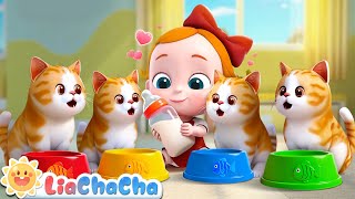 Download Lagu I'll Take Care of You | EP189 | Kitty Cat Song | Baby Care Song | Nursery Rhymes | LiaChaCha MP3 Download Lagu I'll Take Care of You | EP189 | Kitty Cat Song | Baby Care Song | Nursery Rhymes | LiaChaCha MP3