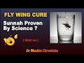 Fly wing cure  sunnah proven by science