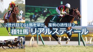 種牡馬　リアルスティールの適性について