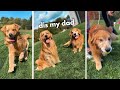 My Dog Meets His Dad