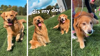 My Dog Meets His Dad