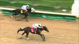 2016 Kentucky Derby Profile: Mo Tom