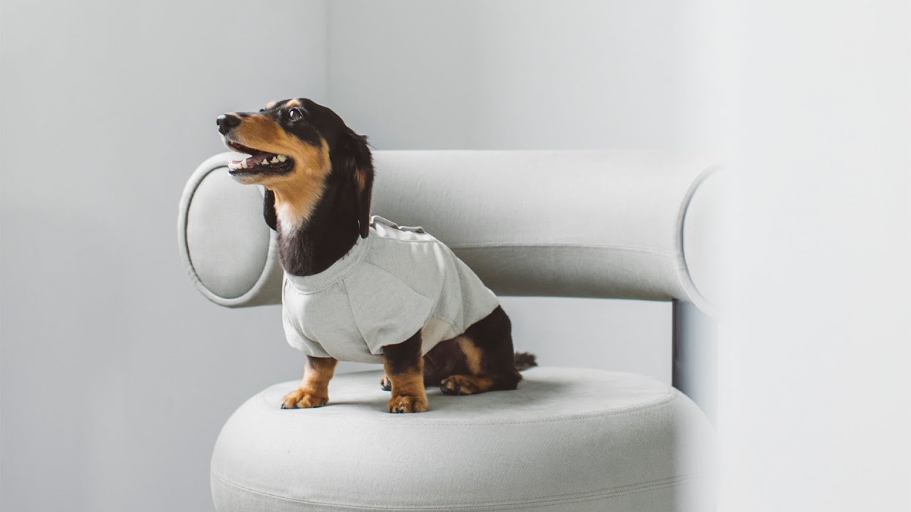 free stitchリネン スモック シャツ新品　Sサイズ リネン スモック シャツ - ドッググッズ・猫グッズ通販 free stitch