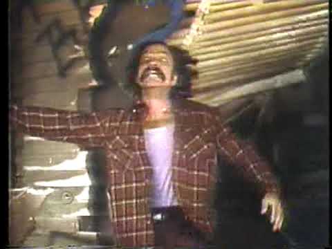 Cheech and Chongs Next Movie 1980 TV trailer