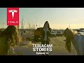 Tesla love caught on Tesla Sentry Mode | TESLACAM STORIES #13