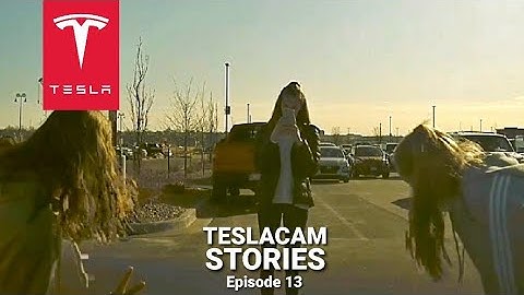 Tesla love caught on Tesla Sentry Mode | TESLACAM STORIES #13