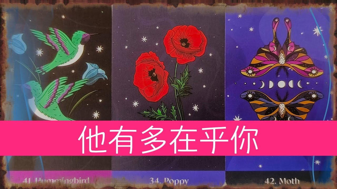 他有多在乎你？對你是否真心？他的未來有你嗎  |曖昧|愛情|戀愛|桃花|塔羅占卜|