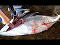 How to Cut Giant Bigeye Tuna(Thunnus obesus) Perfect By Taiwan No.1 Master