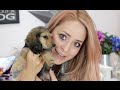 Meet PIGLET + Puppy Haul!