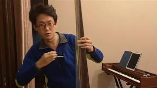 Celebrity Folding Buechenberg theorbo demonstration-theorbo by Lauri Niskanen Profile