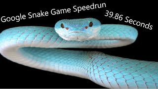 GSG(Google Snake Game) Classic Speedrun 25 Apples 39.86