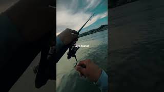 Mei M nya apa  #storymancing #mancing #mancingmantap #mancingceria #fishing #pancing