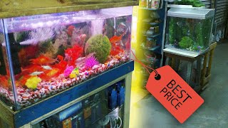 Cheap Fish Tanks and Aquariums. One of the easiest and most common is your Local $1 a gallon sale. This is put on by Petco and 