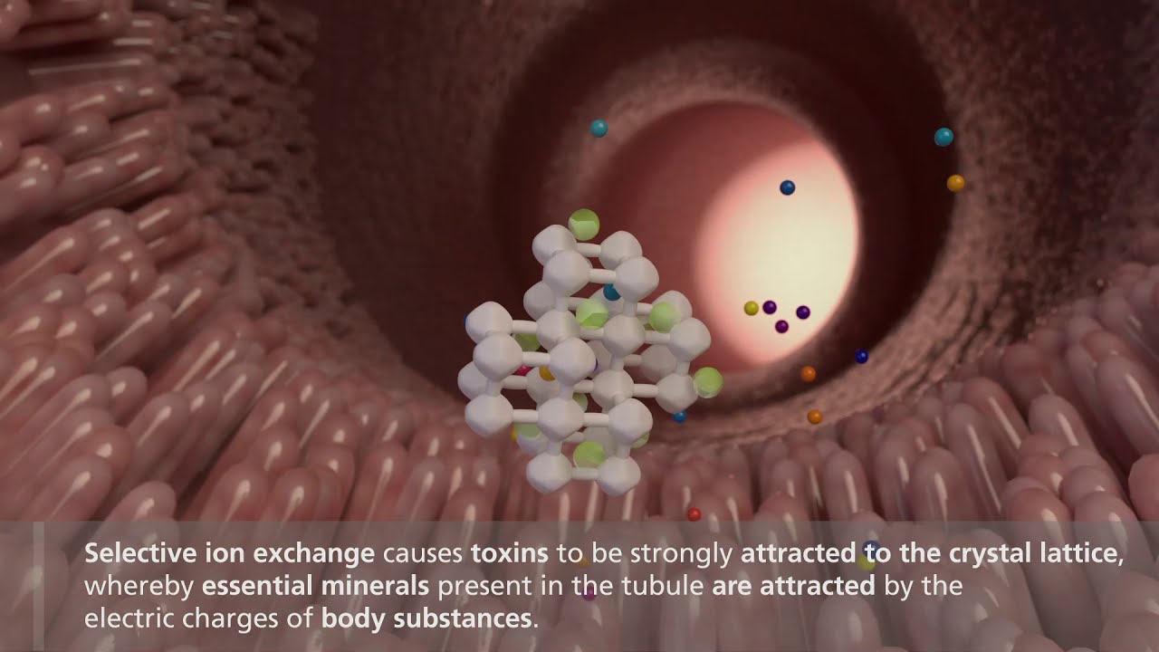 Zeolite detoxification process in the intestine