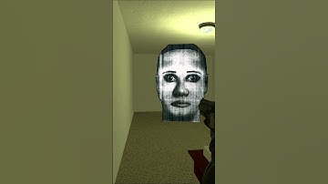 POV SELENE CRAZY FUNNY NPC FOLLOWING ME!!! #gmod #nextbots