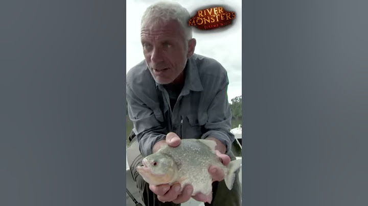 Piranha Bites Through Steel! | #Shorts | PIRANHA |  River Monsters