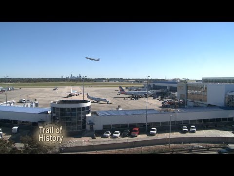 Vídeo: Los Gatitos En El Aeropuerto De Charlotte Están Consolando A Los Viajeros Nerviosos