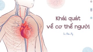 Khái quát về cơ thể người - KHTN 8 - OLM.VN