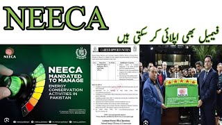 NEECA Jobs 2024 – Ministry of Energy Power Division Career|| Jobs ki talash