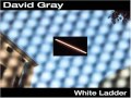 03 My Oh My David Grey 03 My Oh My David Grey