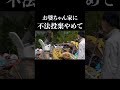 【ゴミが増えてる？】再生中の古民家に嫌がらせ…